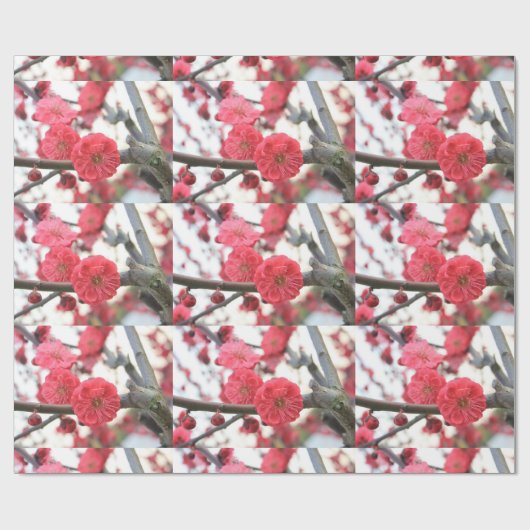 pruimen bloesem roze bloemen 2 verpakkingspapier cadeaupapier (Vlak)