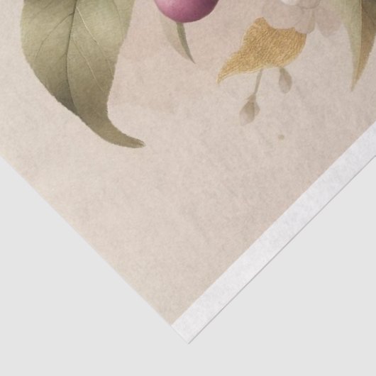 Pruimen, Bloesems Decoupage Tissue Paper Tissuepapier (Detail)