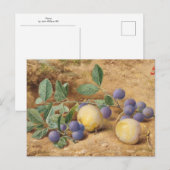 Pruimen door John William Hill Briefkaart (Voorkant / Achterkant)