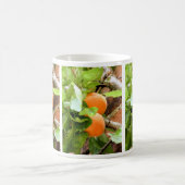 PRUIMEN KOFFIEMOK (Center)