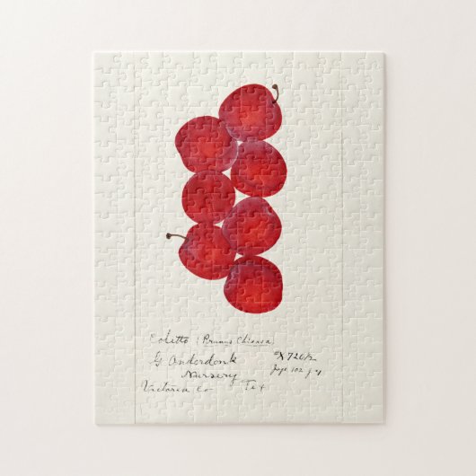 Pruimen (Prunus Domestica) Waterverf van vruchten Legpuzzel (Verticaal)