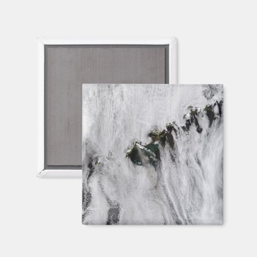 Pruimen uit Okmok Volcano, Aleutiaanse eilanden Magneet (Voorkant / Achterkant)