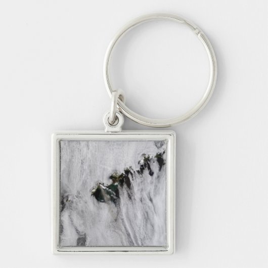 Pruimen uit Okmok Volcano, Aleutiaanse eilanden Sleutelhanger (Voorkant)