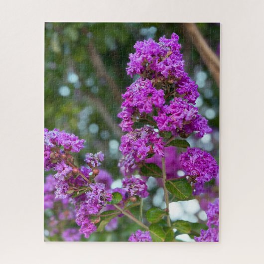 Pruimkleurige Lagerstroemia, Livermore Legpuzzel (Verticaal)
