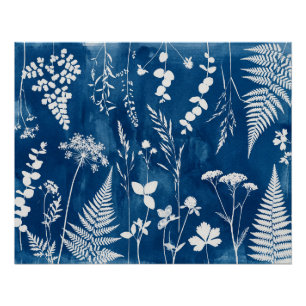 Pruisisch Indigo Blauw Cyanotype Varens Botanische Perfect Poster