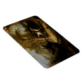 Pruitloze paardenbloem, slaapzucht en kraan magneet (Rechterzijde)