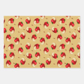 Pruitvormig appelfruitpatroon inpakpapier vel (Voorkant 3)