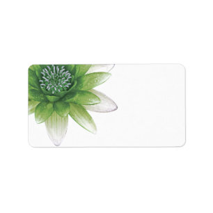 Pruitvormig groen Lotus blank-label Etiket