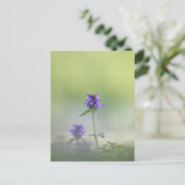 Prunella Bloem Natuur Foto Briefkaart (Staand voorkant)