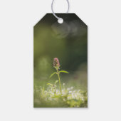 Prunella Natuur foto Cadeaulabel (Voorkant)