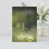 Prunella Natuur foto Kaart (Staand voorkant)