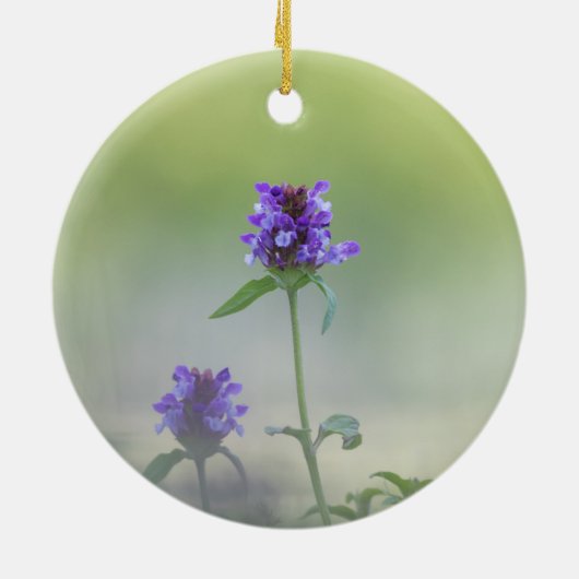 Prunella Natuur foto Keramisch Ornament (Achterkant)