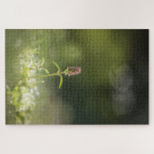 Prunella Natuur foto Legpuzzel (Horizontaal)