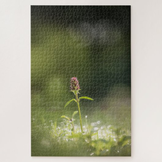 Prunella Natuur foto Legpuzzel (Verticaal)