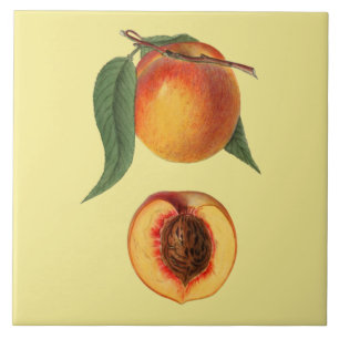 Prunus Persica peach~Botanical ~Kitchen ~Elke kleu Tegeltje