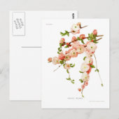 Prunus triloba (bloeiende amandel) briefkaart (Voorkant / Achterkant)