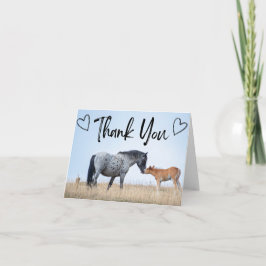 Pryor Mountain Wild Horse bedankkaart