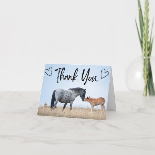 Pryor Mountain Wild Horse bedankkaart (Voorkant)