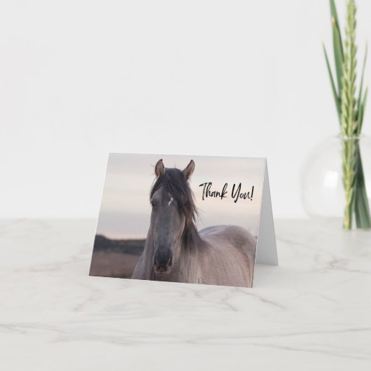 Pryor Mountain Wild Horse bedankkaart (Voorkant)