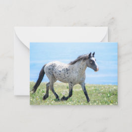 Pryor Mountain Wild Mustang Mica/Mato Ska Notitiekaartje