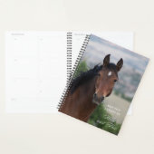 Pryor Mountain Wild Mustang "Ula" Planner (Display)