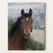Pryor Mountain Wild Mustang "Ula" Planner (Achterkant)