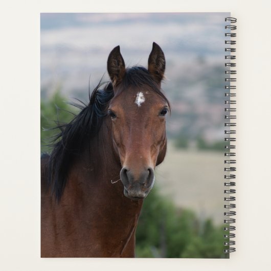 Pryor Mountain Wild Mustang "Ula" Planner (Achterkant)