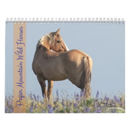Pryor Mountain Wilde Paarden Kalender