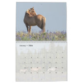 Pryor Mountain Wilde Paarden Kalender (Jan 2026)