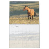 Pryor Mountain Wilde Paarden Kalender (Mar 2026)
