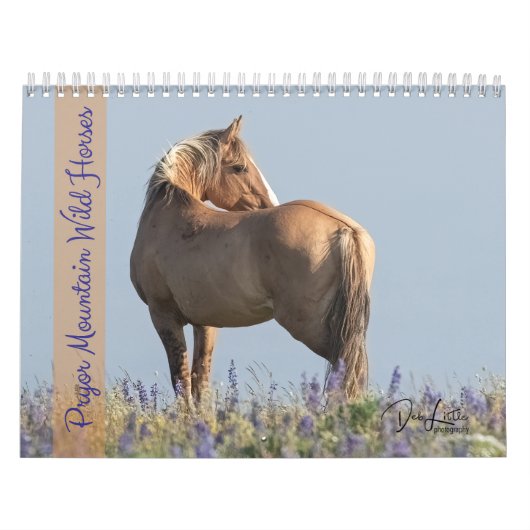 Pryor Mountain Wilde Paarden Kalender (Hoes)