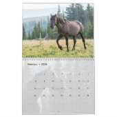 Pryor Mountain Wilde Paarden Kalender (Feb 2026)