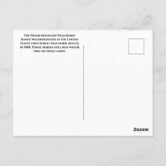 Pryor Mountain Wilde Paarden Running Free Briefkaart (Achterkant)