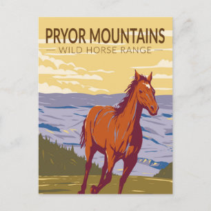Pryor Mountains Wild Horse Range Briefkaart