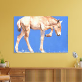 Przewalski Foal 2012 Canvas Afdruk (Insitu (Woonkamer))