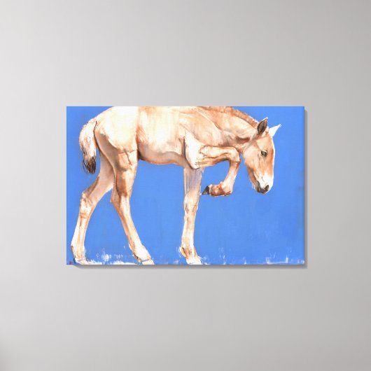 Przewalski Foal 2012 Canvas Afdruk (Voorkant)