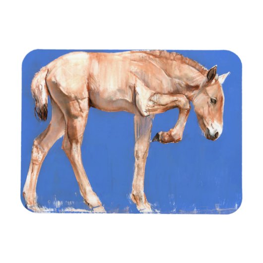 Przewalski Foal 2012 Magneet (Horizontaal)