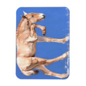 Przewalski Foal 2012 Magneet (Verticaal)