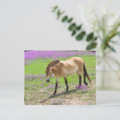 Przewalski Horse Briefkaart (Staand voorkant)