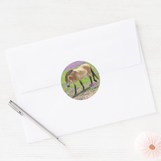 Przewalskipaard Ronde Sticker (Envelop)