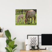 Przewalski's paard en veulen grazend poster (Thuiskantoor)