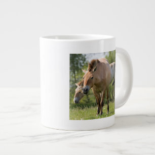 Przewalski's paard en veulen lopen grote koffiekop
