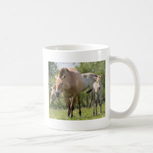 Przewalski's paard en veulen lopen koffiemok