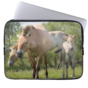Przewalski's paard en veulen lopen laptop sleeve