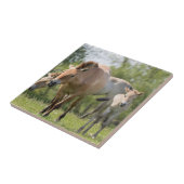 Przewalski's paard en veulen lopen tegeltje (Zijkant)