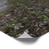 Psalm 107:35 Hij verandert een wildernis in... Poster (Hoek)