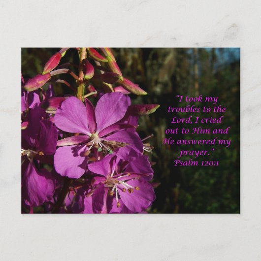 Psalm 120:1 Briefkaart van aanmoediging (Voorkant)