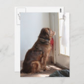 Psalm 130:5 Briefkaart venster Dog (Voorkant / Achterkant)