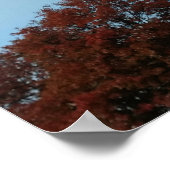 Psalm 133:1 Behold, hoe goed en aangenaam Poster (Hoek)