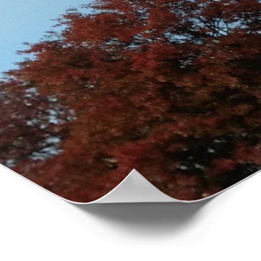 Psalm 133:1 Behold, hoe goed en aangenaam Poster (Hoek)